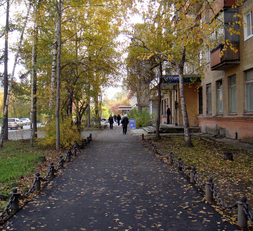 Гуляя по городу. - Елизавета Успенская