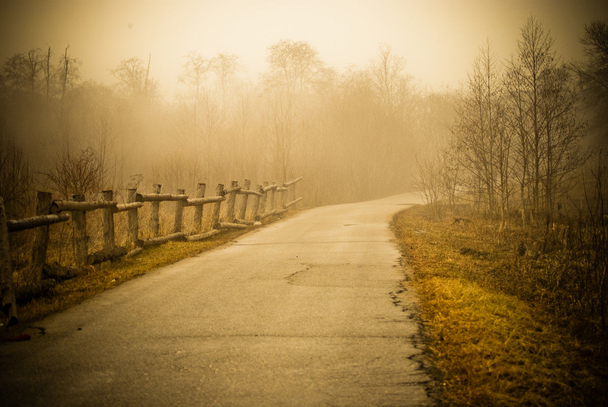 дорога в туман - Ксения Хмелевская