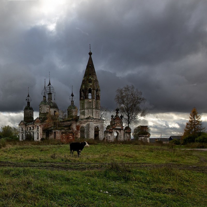 Корова Баскервиллей. - Николай Спиридонов