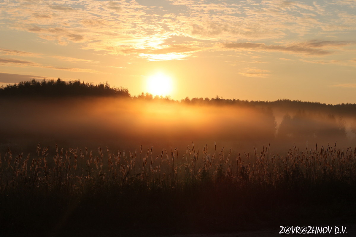 Утро.............туман - Дмитрий Дмитрий