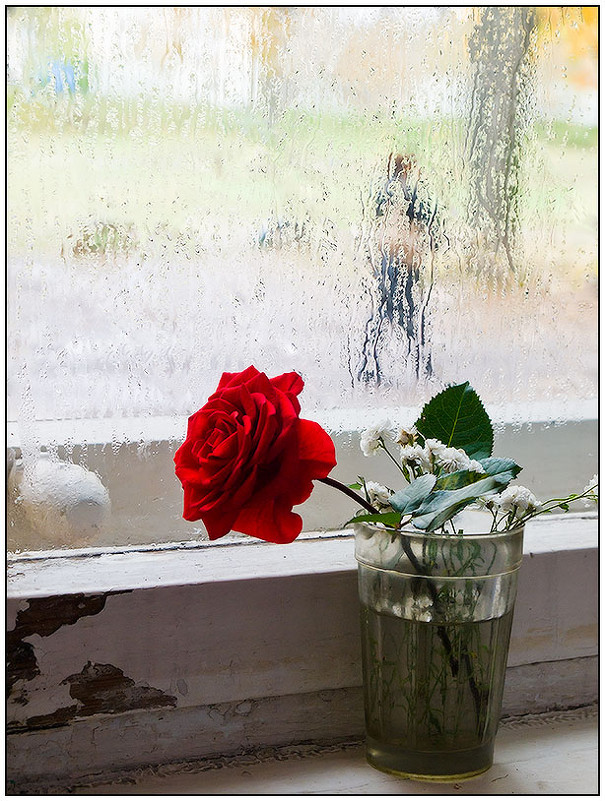 цветок любви - Андрей Арафалов