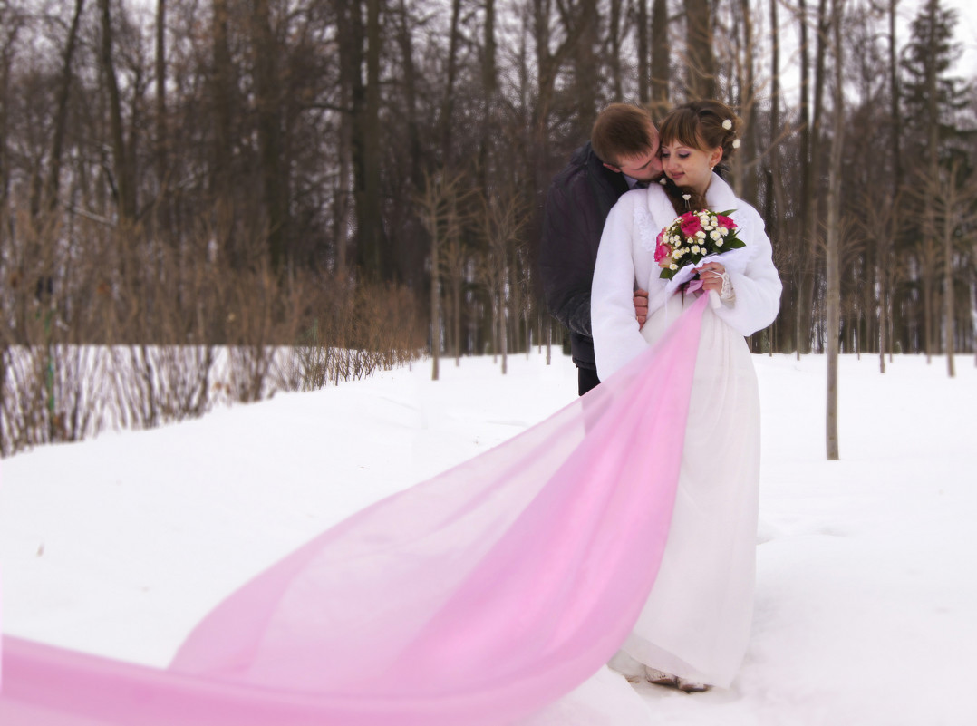 зимняя  свадьба - Евгения Попова