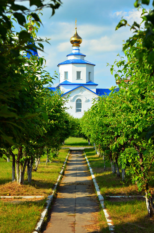 Церковь в старом городе. - Alina Serbskay