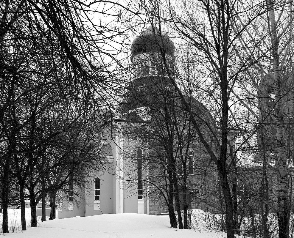 Храм  Петра  и  Павла  .  ПЕНЗА. - Валерия  Полещикова 