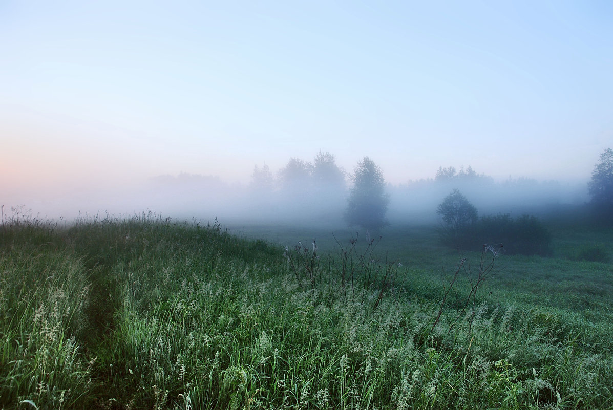 утро жемчужного тумана - sergej-smv 