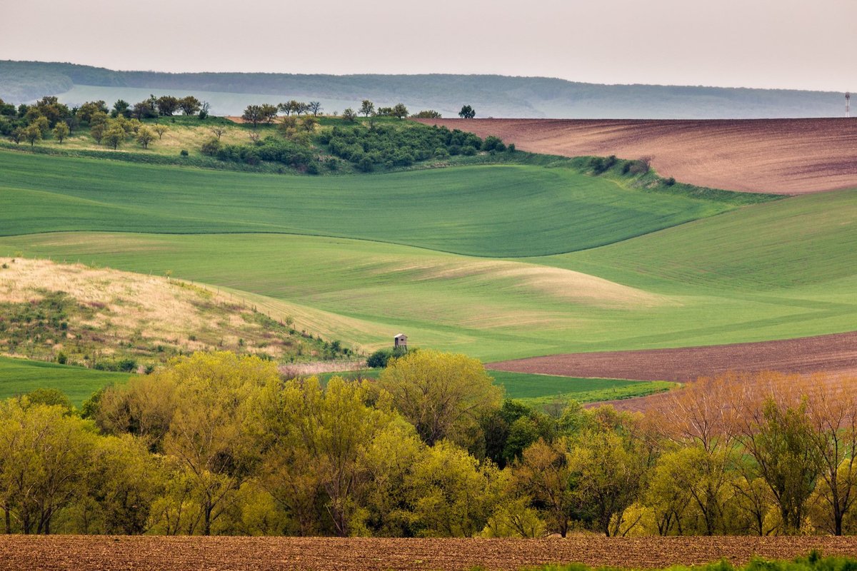Moravian landscape. - Vladimir Nedayvoda