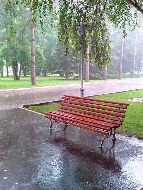 Дождливый июнь - Алексей Меринов