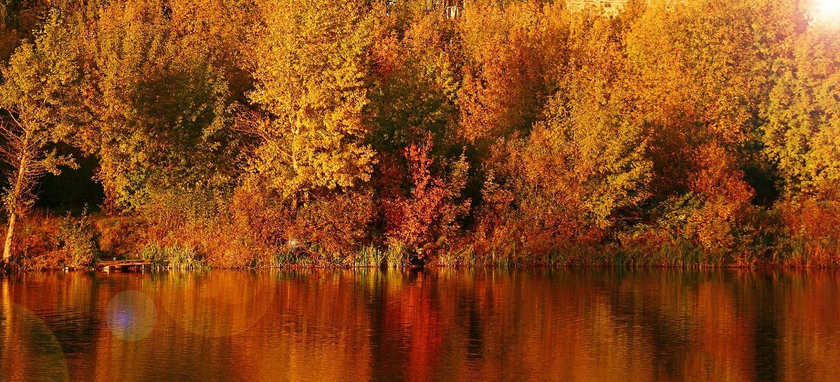 осень в нашем парке - оля казанина