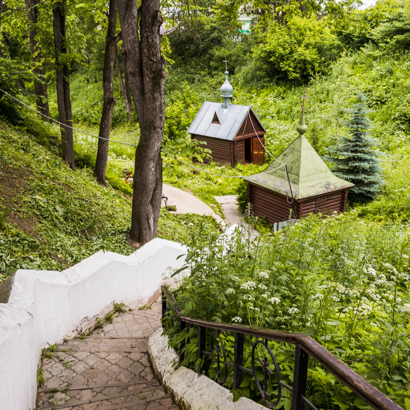 Дорога к купели - Николай Невзоров