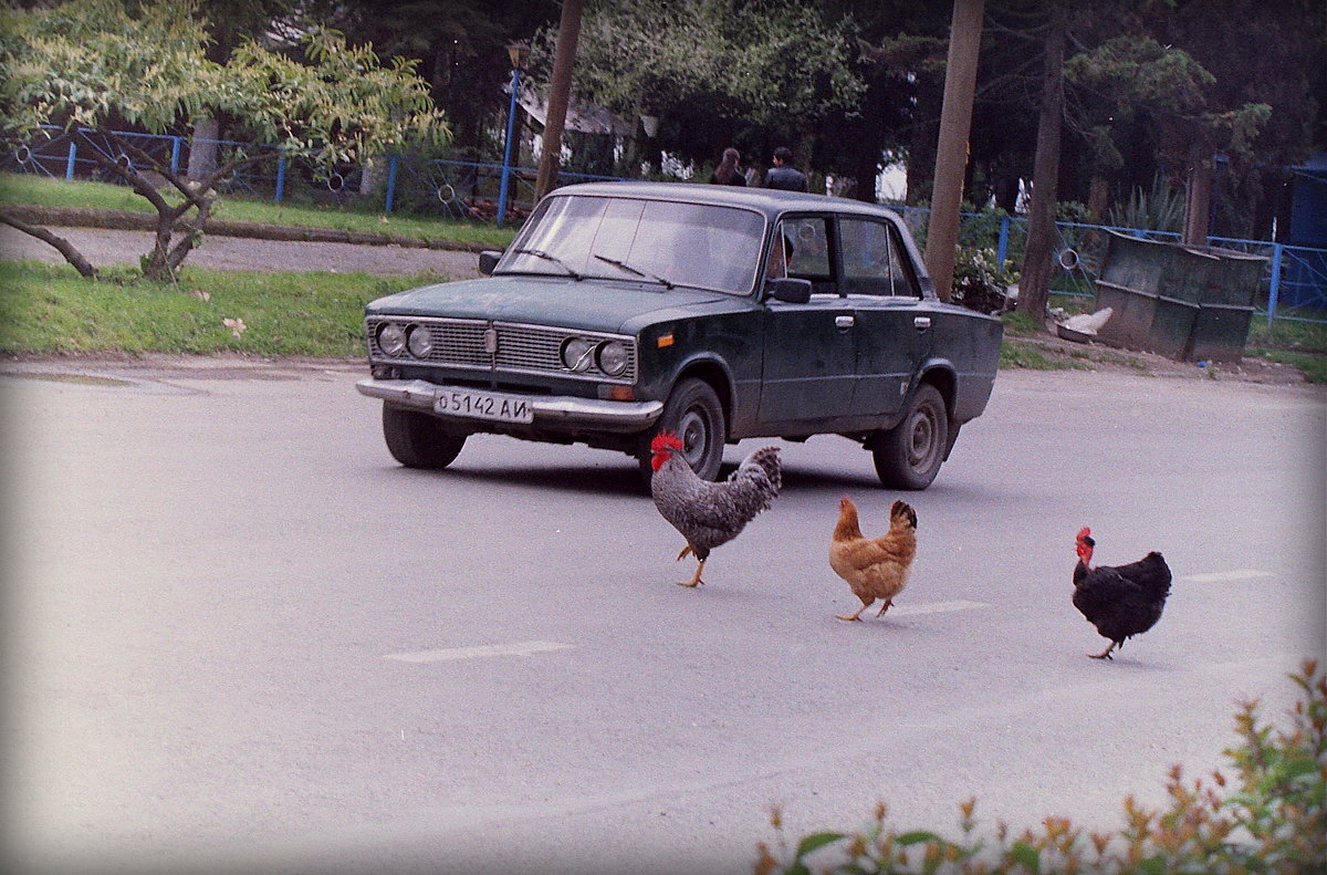 Три курицы идут.. - Лариса Красноперова