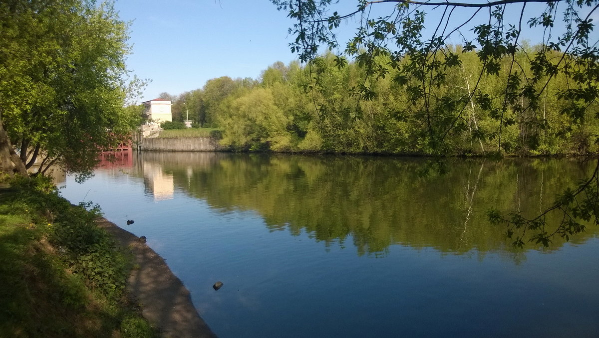 Цвета природы - Николай Дони