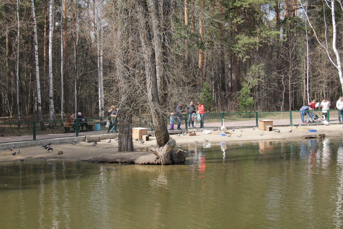 *** - Олег Афанасьевич Сергеев