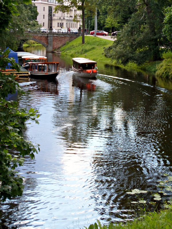 Городской канал - Natali 