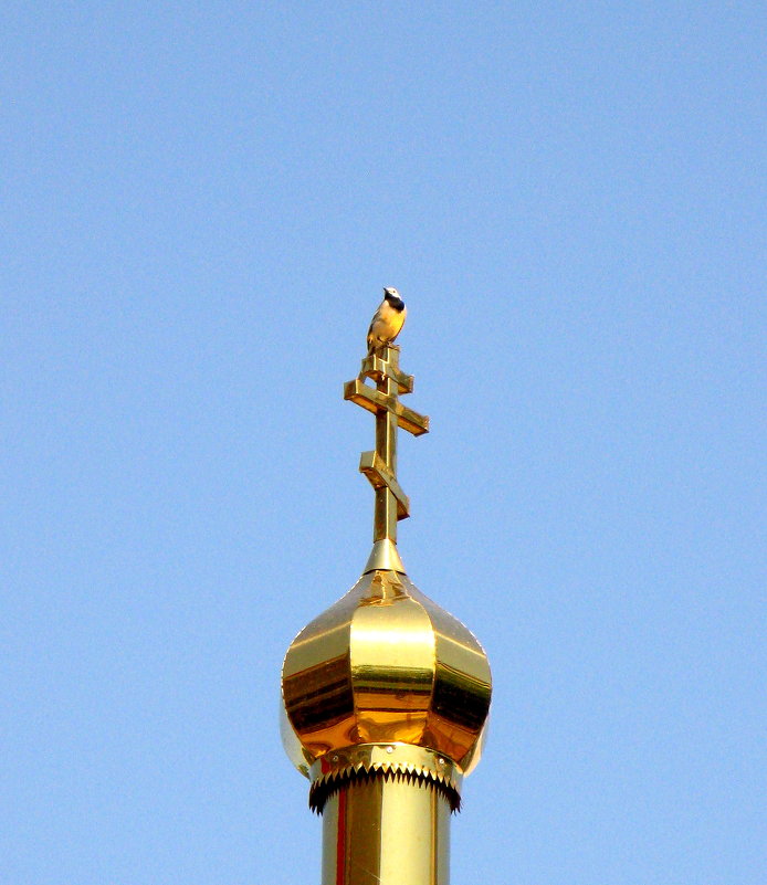 "Золотая птичка на златом кресте..." - Андрей Горячев
