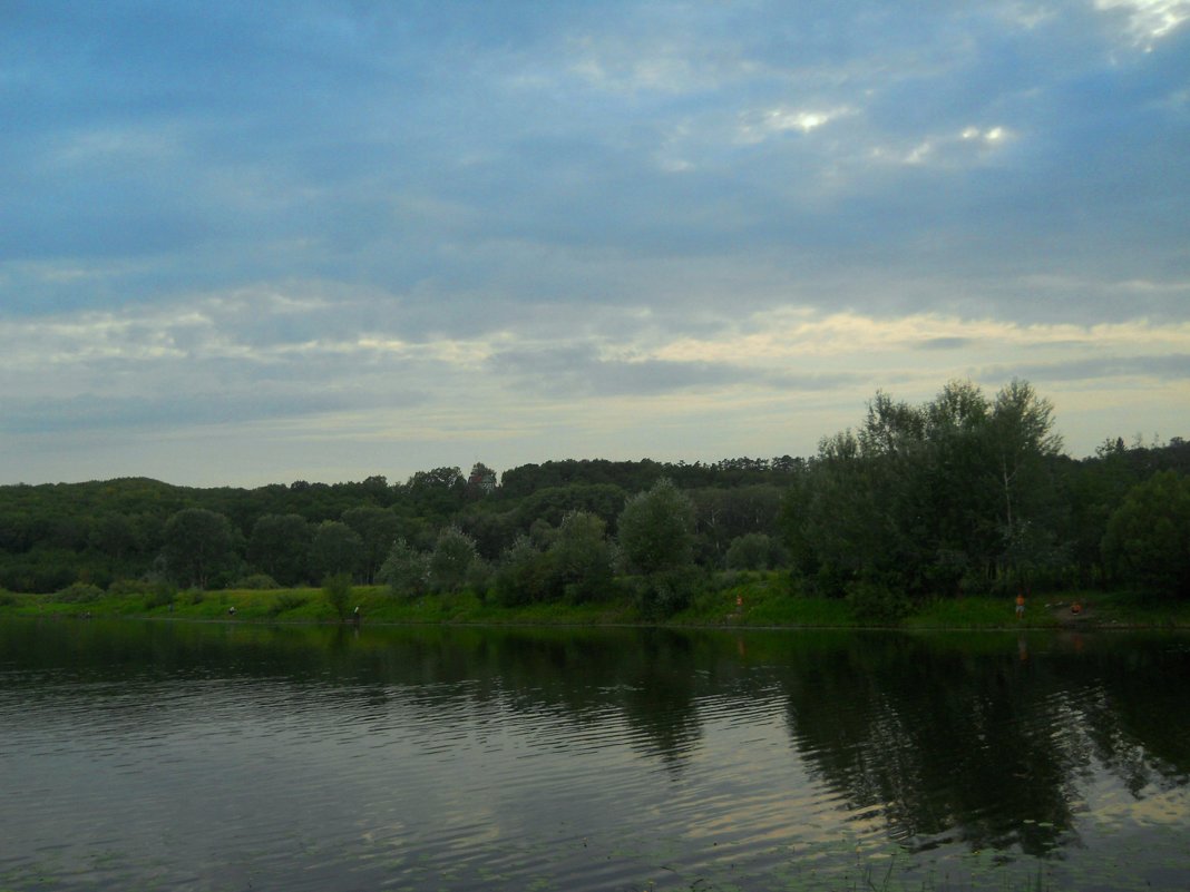 Лето - Галина Медведева