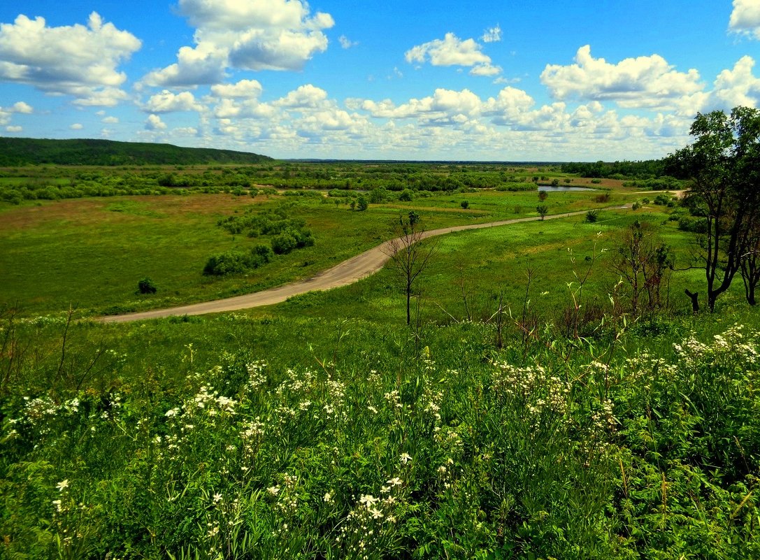 Дорога на родник - Милла Корн 