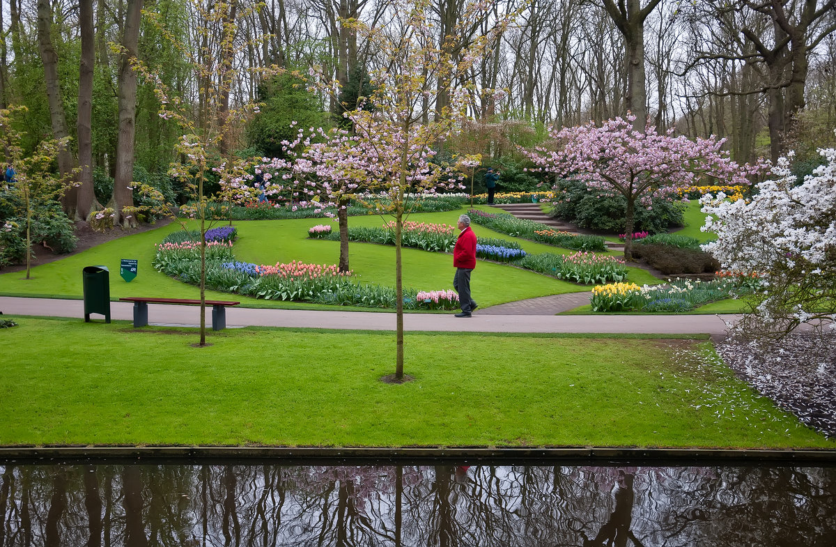 Keukenhof - france6072 Владимир