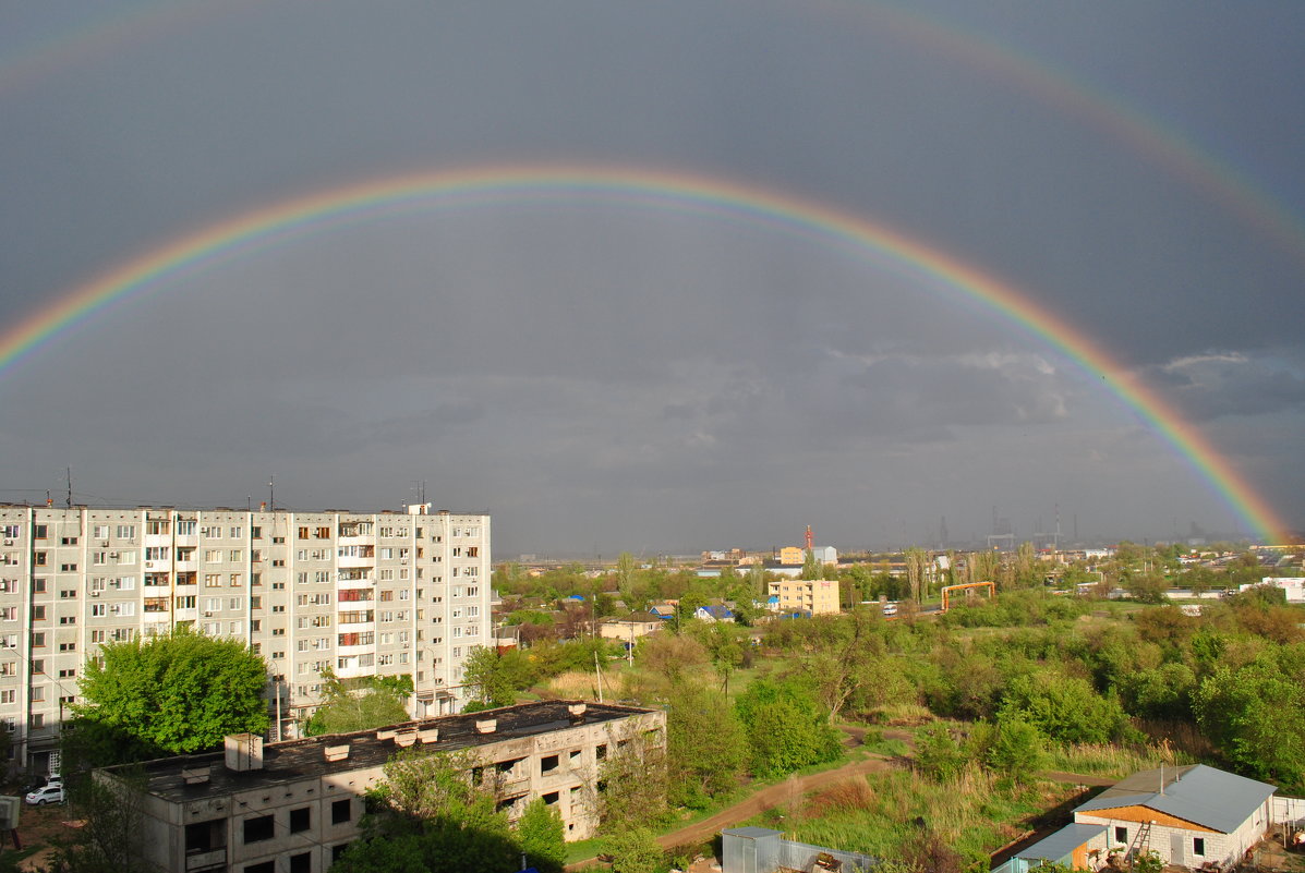 *** - Анастасия Рыжова