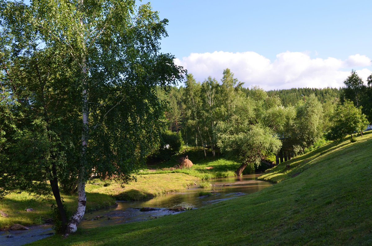 Летние зарисовки - Вера Андреева