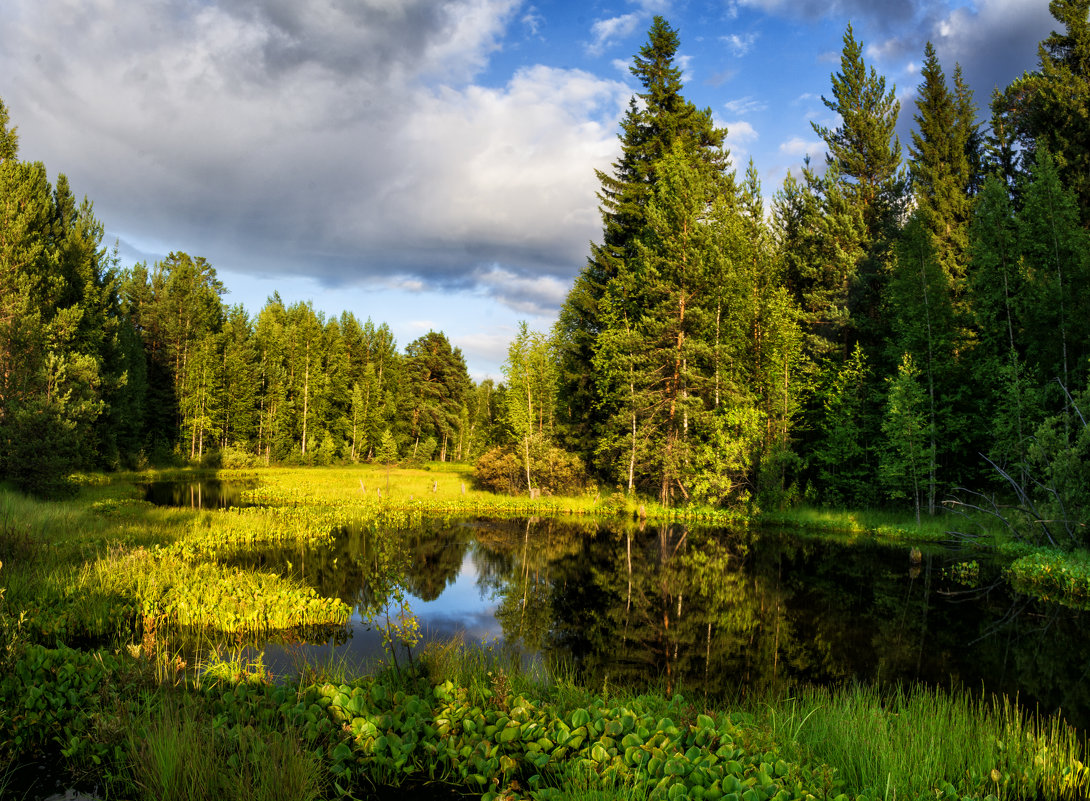 Природа Урала лето