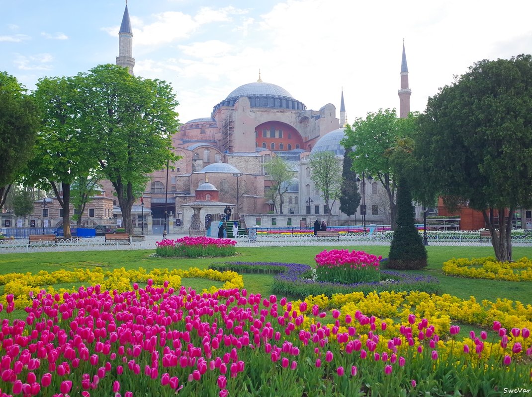 Фестиваль тюльпанов в Стамбуле - wea *