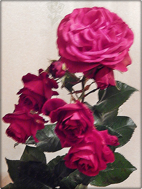 Мои розы - Natali 