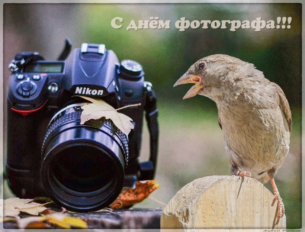 С днём фотографа!!! - Андрей Поляков