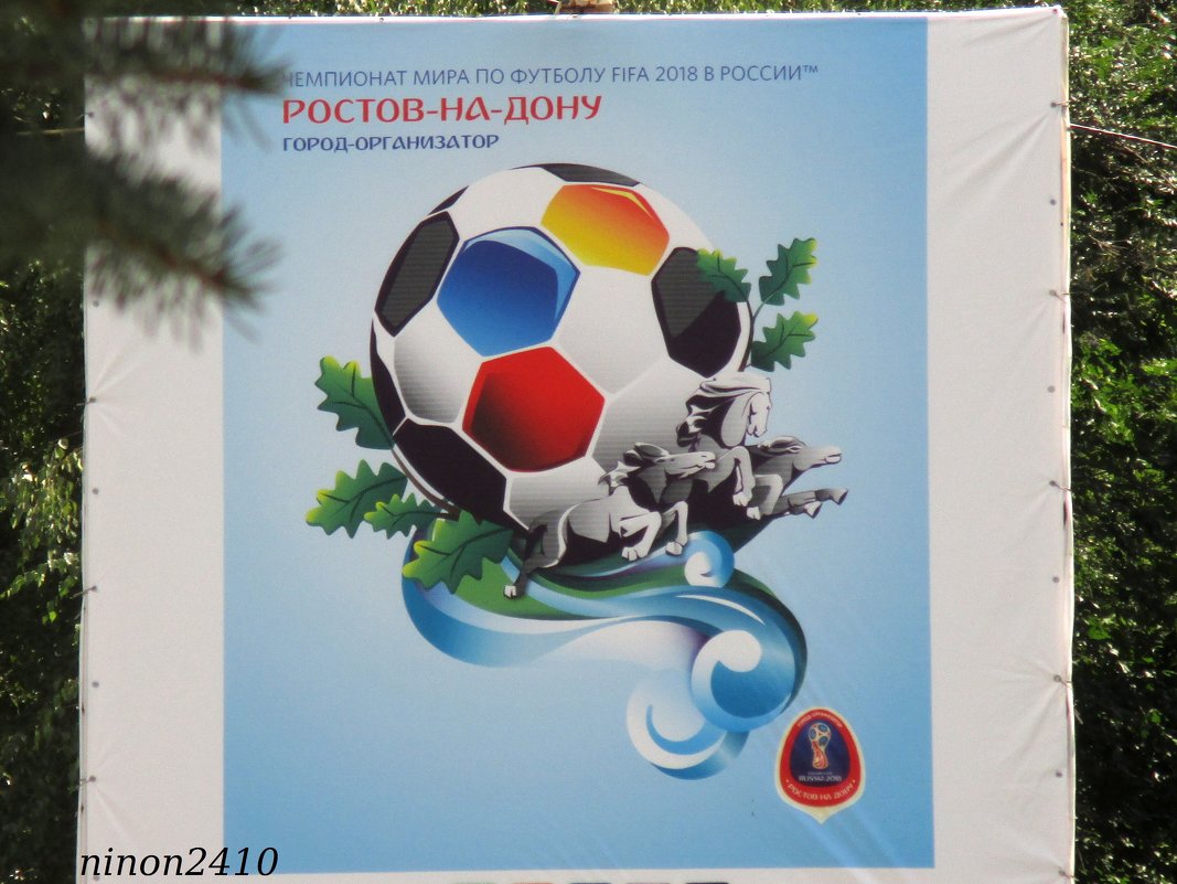 Эмблема Большого ростовского футбола - Нина Бутко