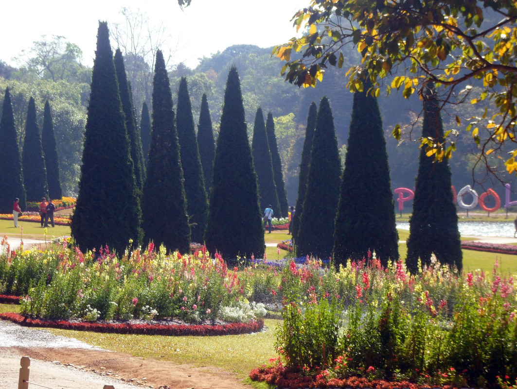 Парк цветов в Пинульвине ,Бирма - Наталья Елизарова