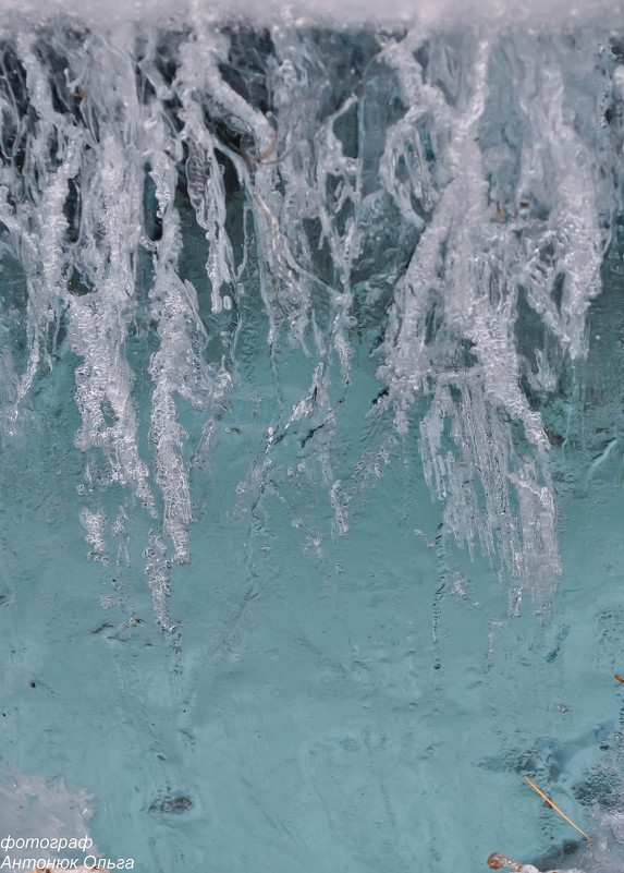 ледяные узоры на льдине - Ольга Антонюк