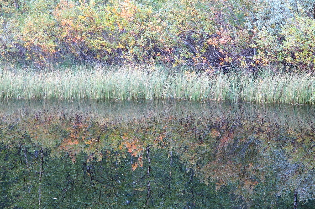 Купание в чистых водах - Нина северянка