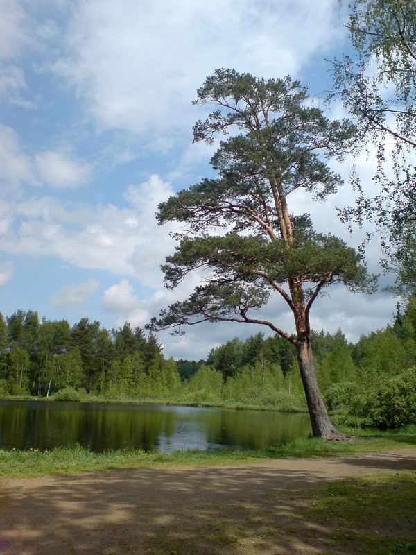 Лукоморье - Сергей Егоров