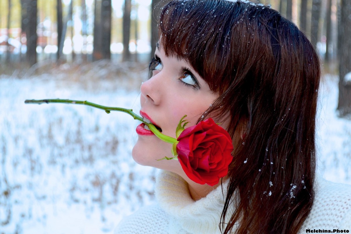 белое и красное, зима и роза - Ирина Мелехина
