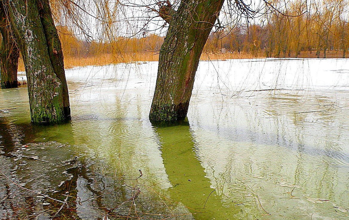 Вода - Александр Ц