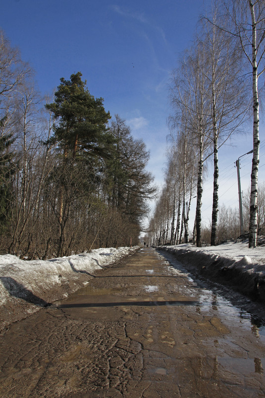 вдоль городского сада - Вера Азсоль