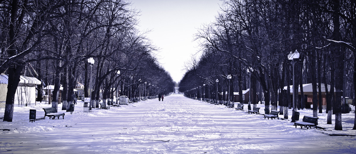 Последняя зима старого парка - Алексей Згола