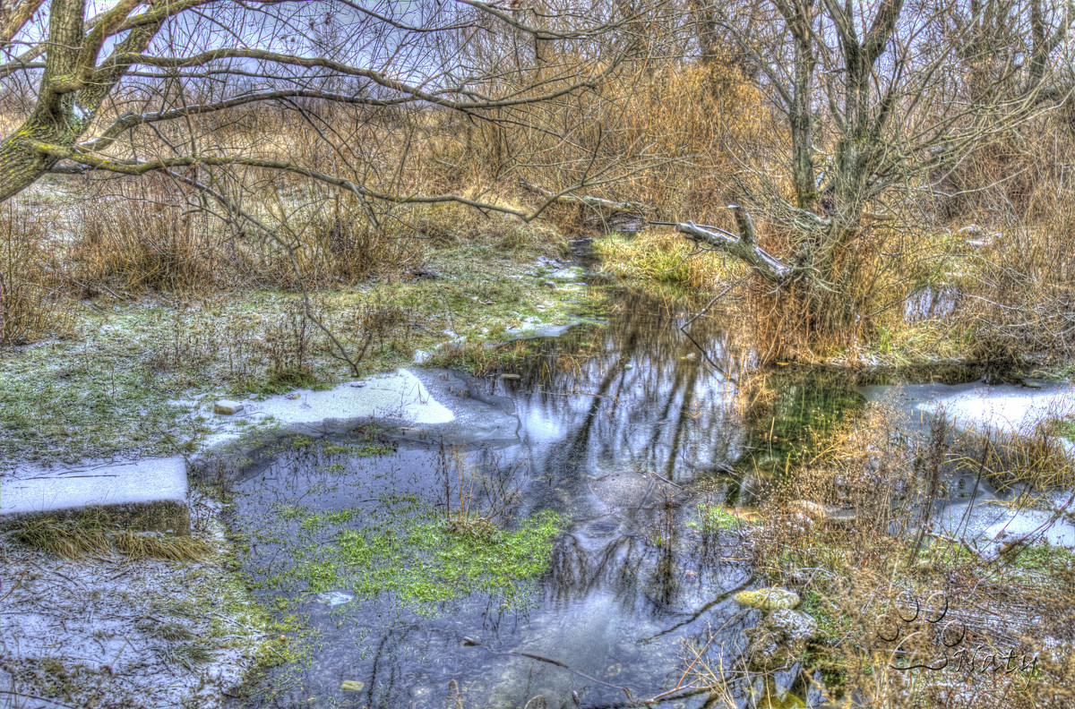 Зимняя вода - Наталья Лесовая