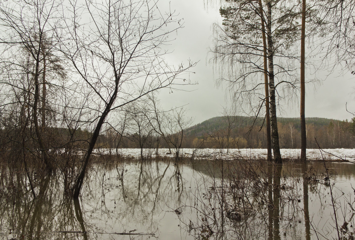 Большая вода - Анна Черняева