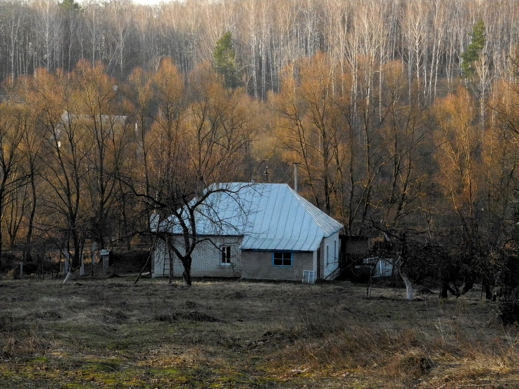 домик в лесу - Серёга Захаров