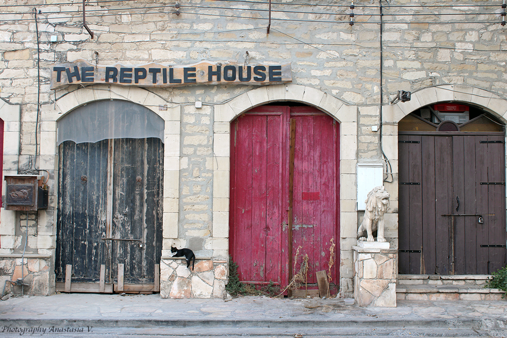 Cyprus, Lemassol - Marrocan style - Анастасия Виноградова