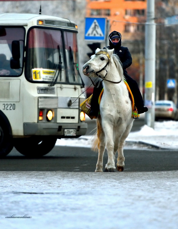 Встреча двух белых коней - Алёна Михеева
