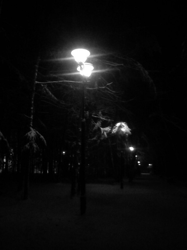 В парке, начало зимы - Александр Мурзаев