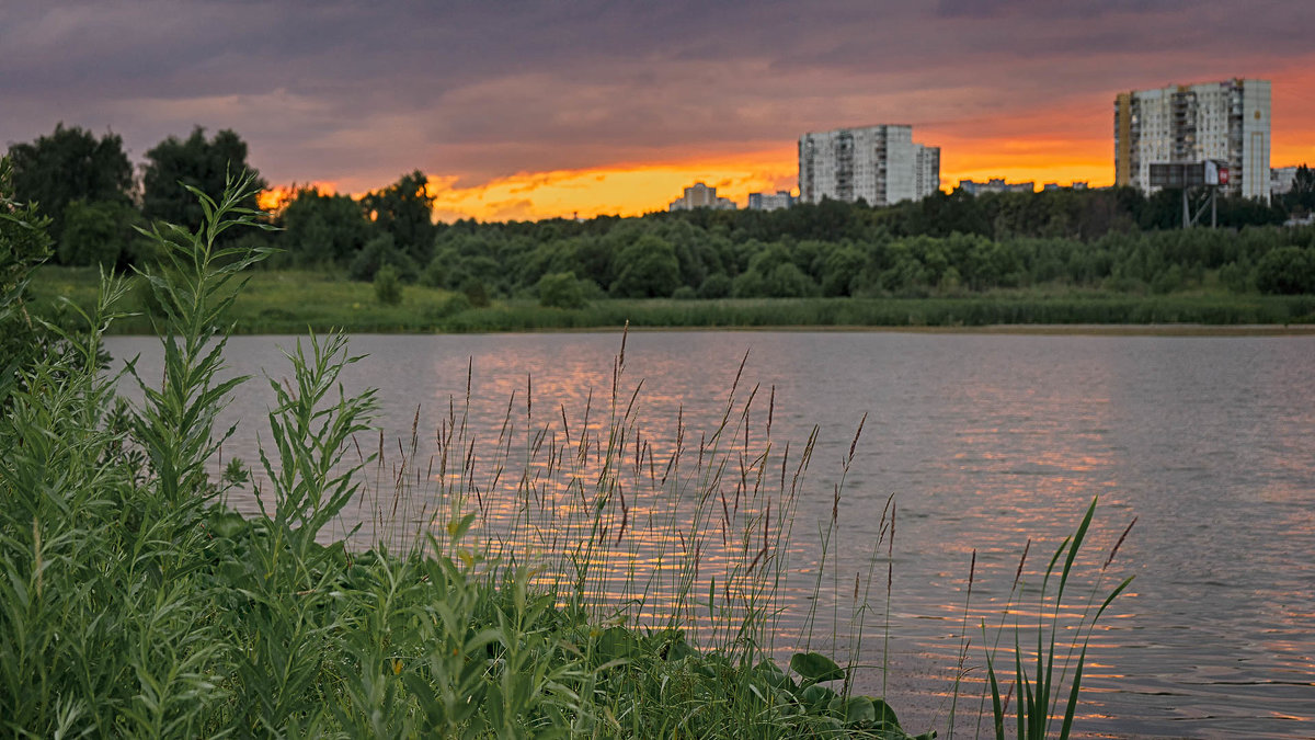 В дали от городского шума - Алексей Соминский