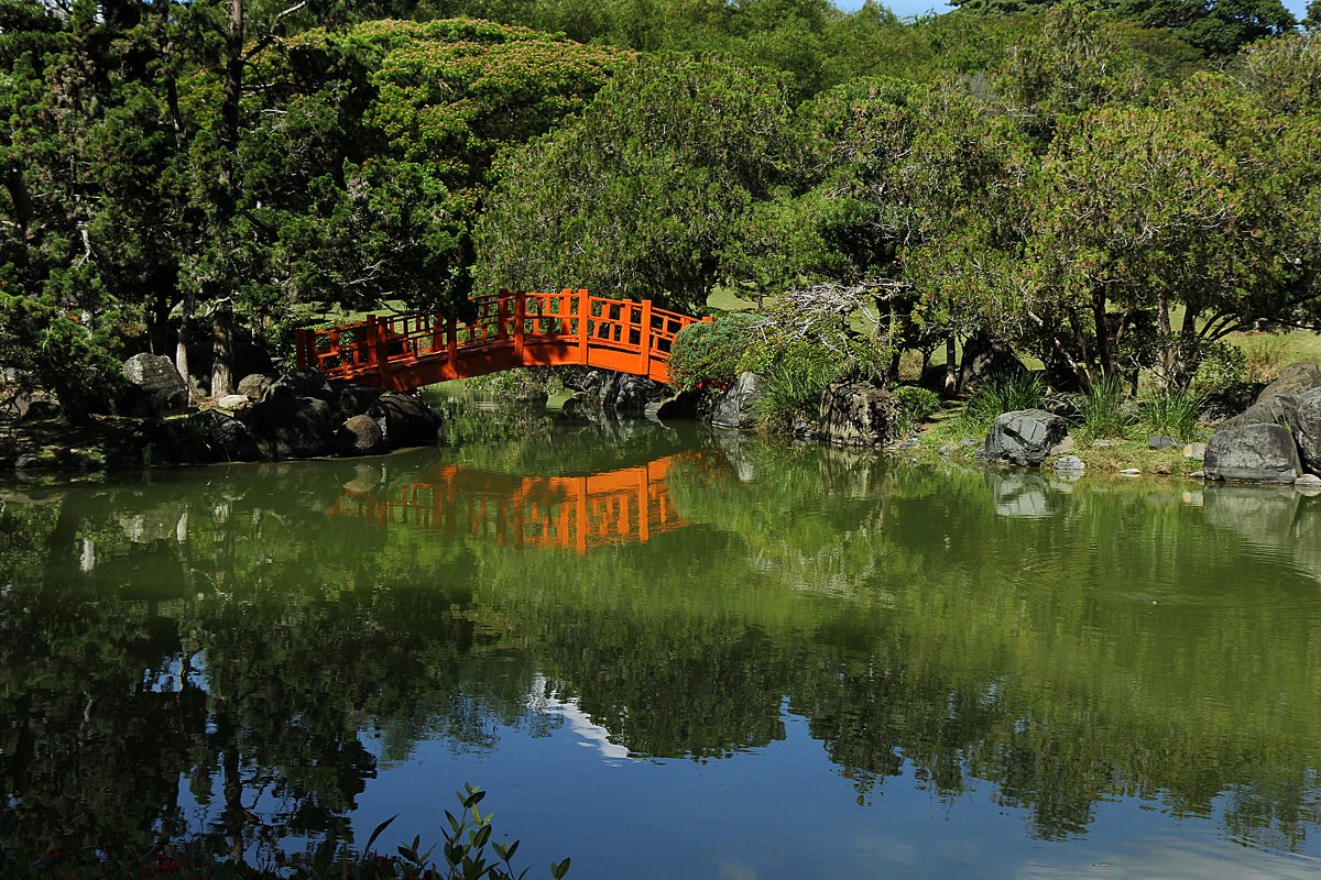 Японский сад камней - Елена Олейникова