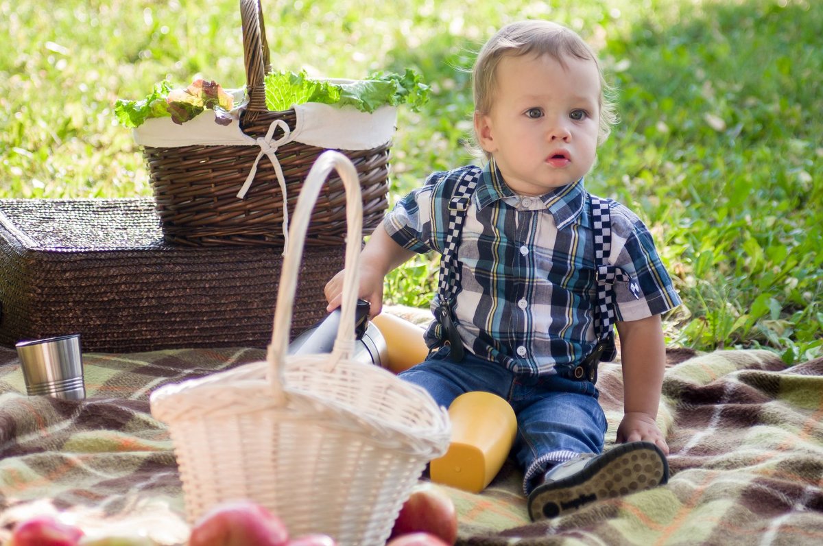 Мальчик на пикнике - Annette.Hangrove 