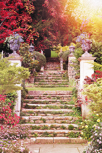 Лестница в саду - Vita Painter