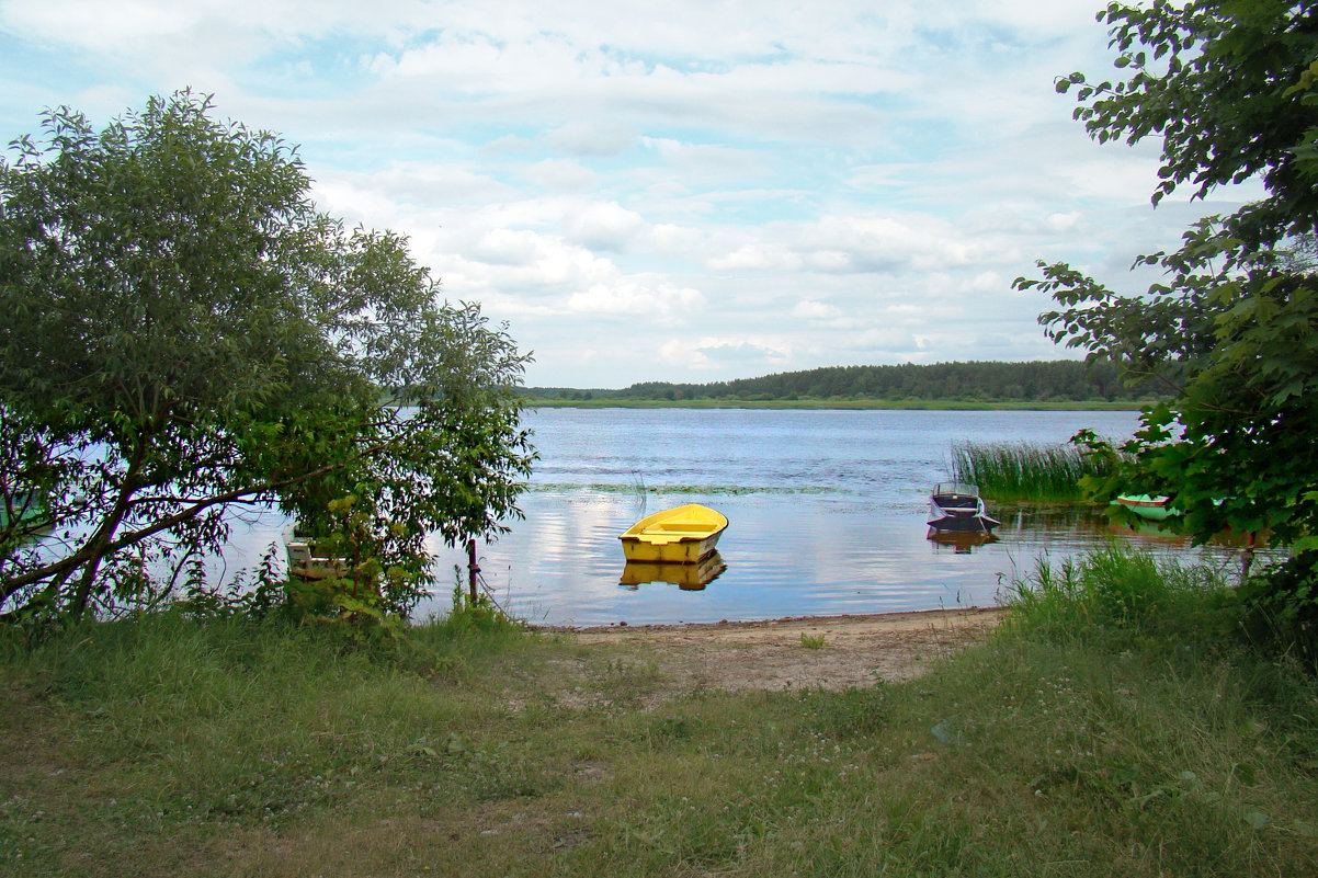 на реке - linnud 