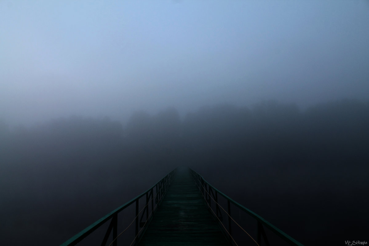 Bridge to nowhere - Виталий Шимко