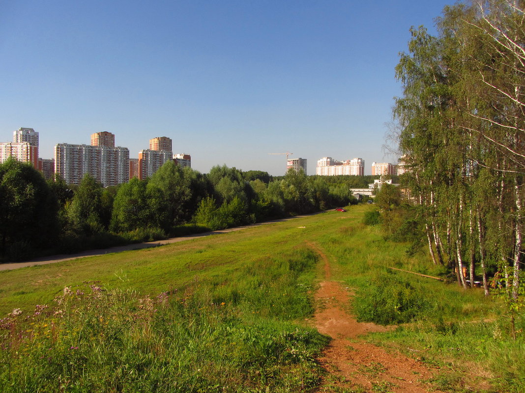 Ближнее Подмосковье - Андрей Лукьянов