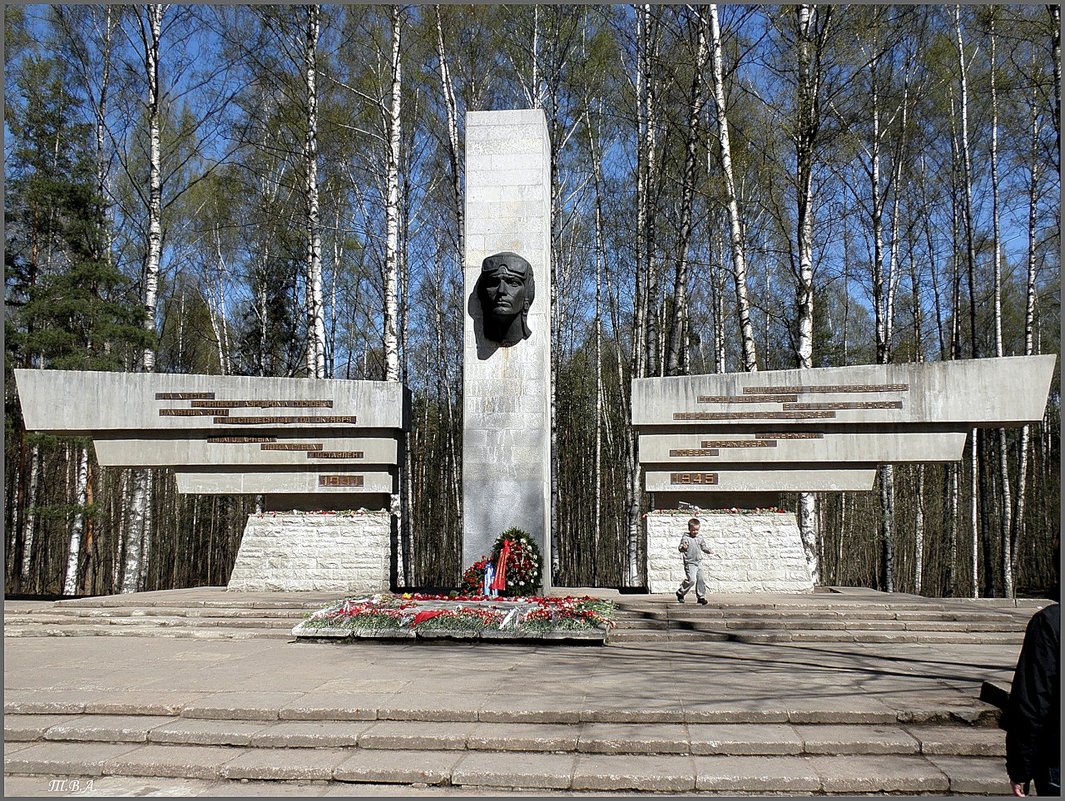Памятник защитникам Ленинградского неба - Вера 